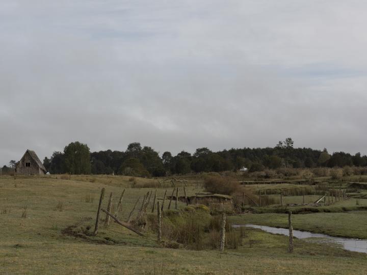 Imagen del monumento Sector predio Monte Verde