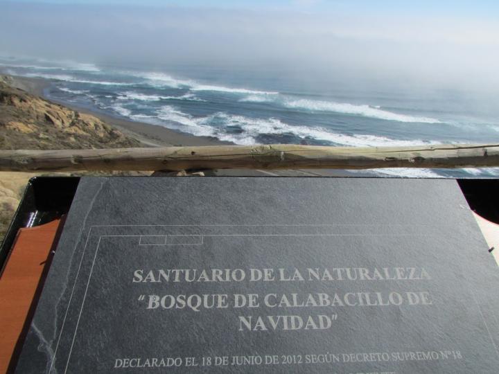 Imagen del monumento Bosque de Calabacillo