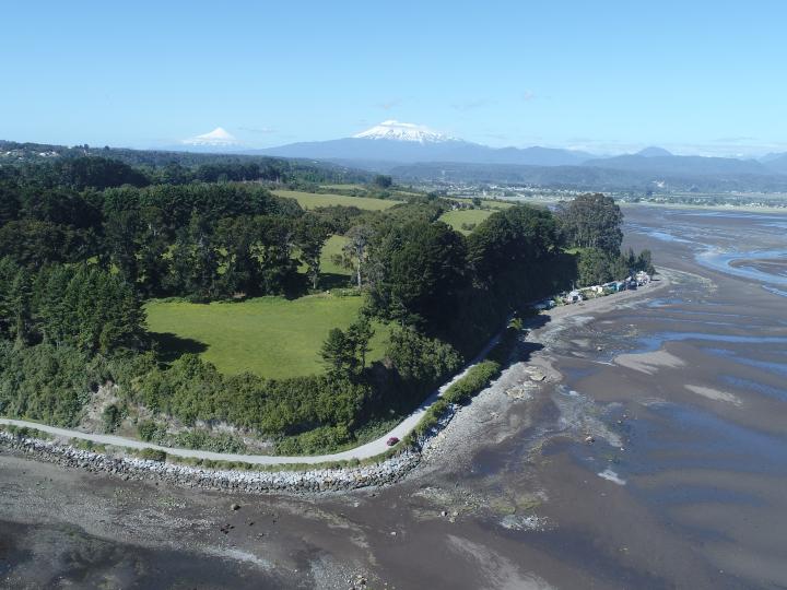 Imagen del monumento Bosque Fósil de Punta Pelluco