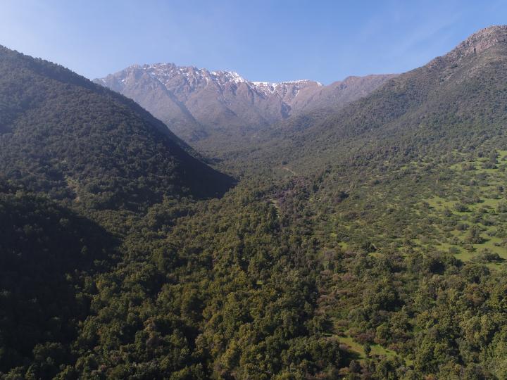 Imagen del monumento Torcazas de Pirque