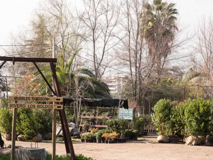 Imagen del monumento Cerro San Benito de los Piques