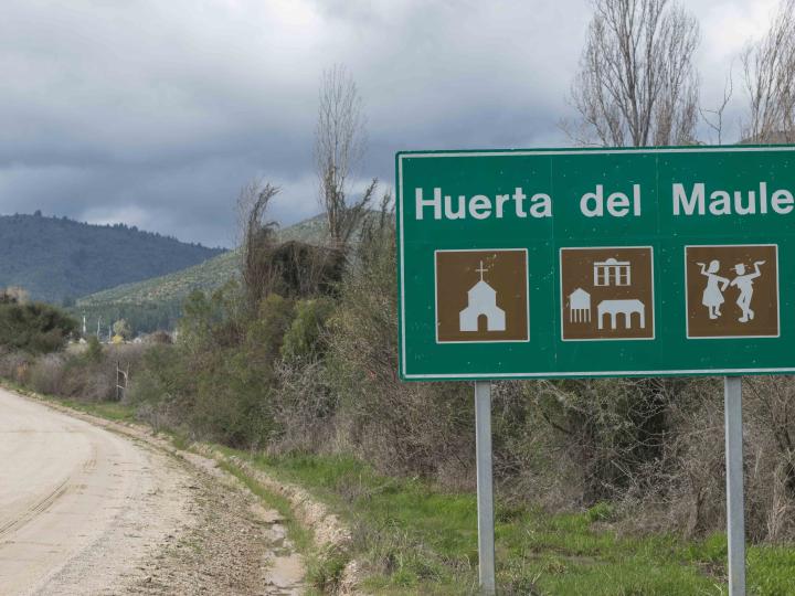 Imagen del monumento Localidad denominada Huerta de Maule