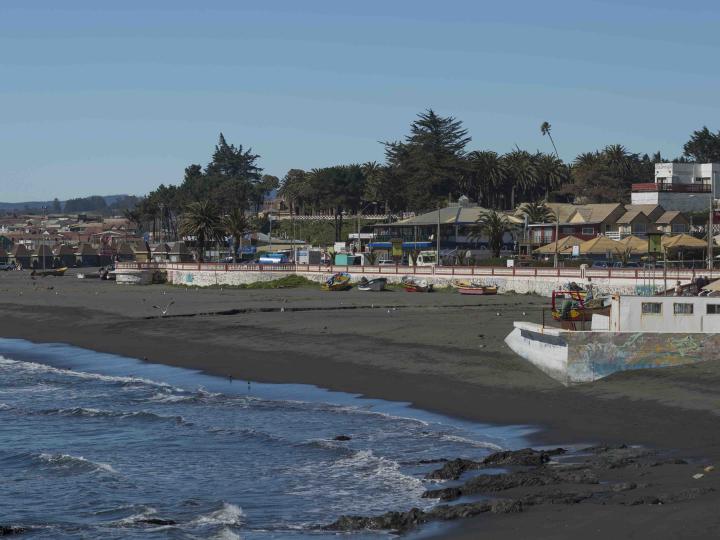 Imagen del monumento Sector de Pichilemu