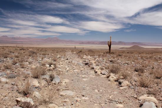 Imagen de Qhapaq Ñan-Sistema Vial Andino