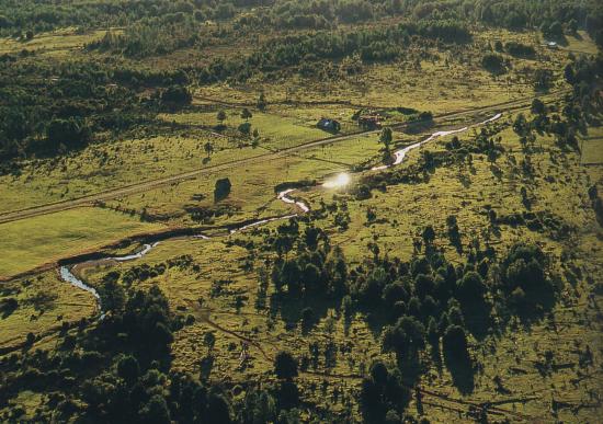 Imagen de Sitio Arqueológico Monte Verde