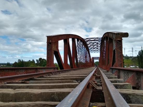 Imagen de Conectemos con los Monumentos Araucanía abordará el rico patrimonio ferroviario, una de las obras de ingeniería más importantes de Chile