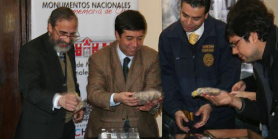 Imagen de CMN recibe piezas arqueológicas y paleontológicas, decomisadas por la PDI