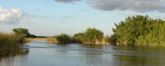 Imagen de Estados Unidos pide reingreso de su Parque Nacional de los Everglades a Lista de Patrimonio Mundial en Peligro
