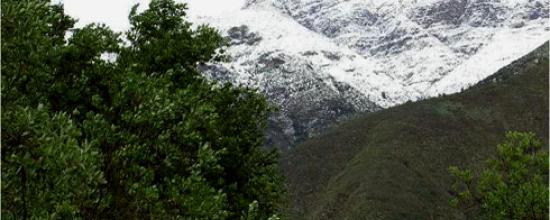 Imagen de Nuevo Santuario de la Naturaleza fortalece protección del pulmón verde de Santiago