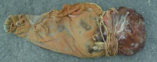 Imagen de Consejo de Monumentos Nacionales valora positivamente restitución de momias Chinchorro desde Suiza