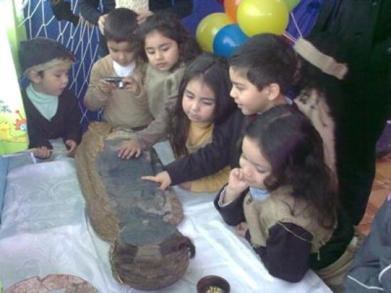 Imagen de Actividad de difusión de nuestro Patrimonio Cultural