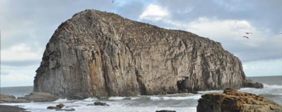 Imagen de RUTAS PATRIMONIALES: LA COSTA DE LA REGIÓN DEL MAULE