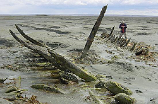 Imagen de NUEVOS ESPECIALISTAS EN ARQUEOLOGÍA SUBACUÁTICA SE FORMARÁN  EN CHILE