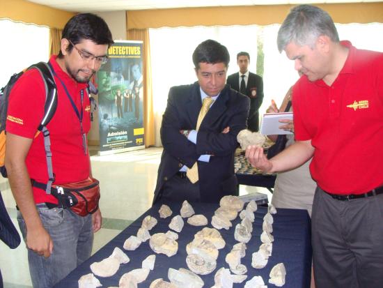 Imagen de POLICÍA DE INVESTIGACIONES ENTREGA VALIOSOS FÓSILES INCAUTADOS EN LA TERCERA Y CUARTA REGIÓN
