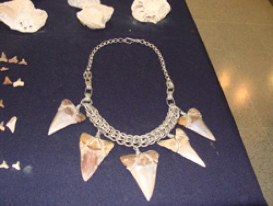 Imagen de SERVICIO DE ADUANAS SERÁ CAPACITADO EN EL RECONOCIMIENTO DE BIENES DE TRÁFICO ILÍCITO