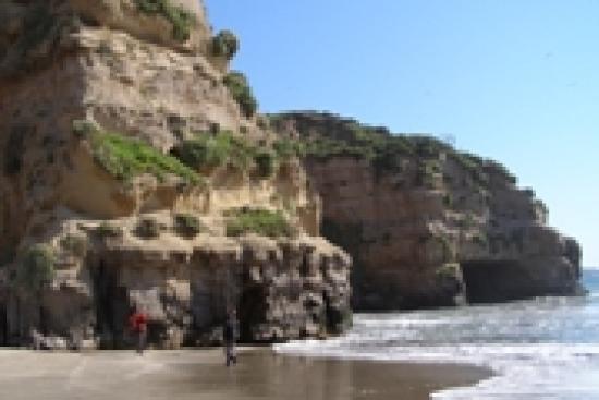 Imagen de ESPECIALISTAS DEL CMN VISITAN LOCALIDAD PALEONTOLÓGICA DE PUCHUNCAVÍ