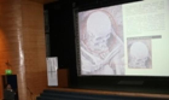 Imagen de Región del Maule tuvo su primer Congreso de Patrimonio