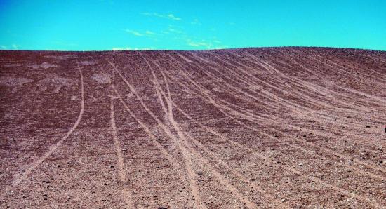 Imagen de Consejo de Monumentos pedirá al Consejo de Defensa del Estado evaluar querella por daños a Geoglifos en Pozo Almonte