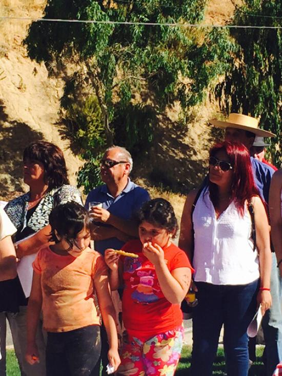 Imagen de Con gran participación de la comunidad finaliza la "Primera fiesta del adobe Canela 2016"