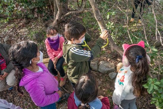 Imagen de ¡Sumamos un nuevo día para disfrutar el Patrimonio Natural! El domingo 15 tres Santuarios de la Naturaleza abrirán gratis