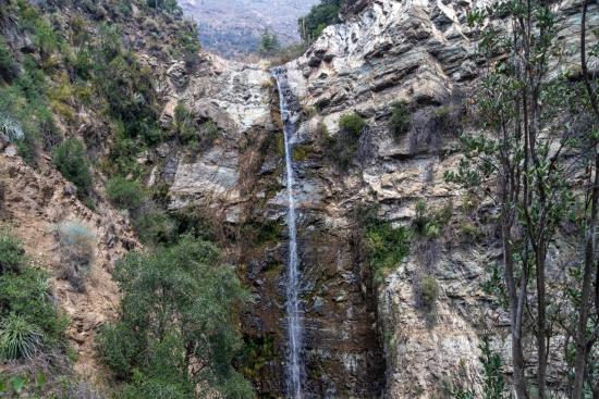 Imagen de Para celebrar el Día de la Niñez, cuatro Santuarios de la Naturaleza de la Región Metropolitana abrirán gratuitamente y con previa inscripción