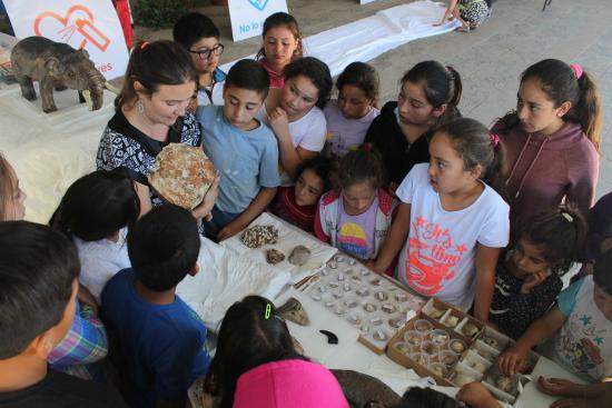 Imagen de Niñas y Niños de Navidad 