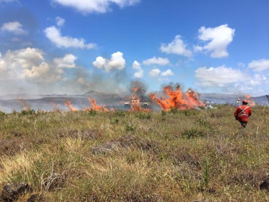 Imagen de Declaración Pública