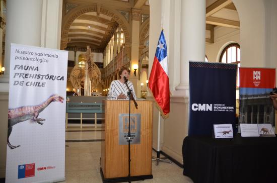 Imagen de En Día Mundial del Braille Ministra Valdés lanzó libro sobre fauna prehistórica para personas con discapacidad visual