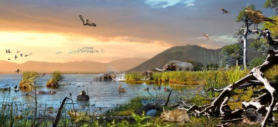 Imagen de “Tagua Tagua milenaria: Arqueología, paleontología y patrimonio” será la temática del conversatorio que se realizará en la región de O’Higgins