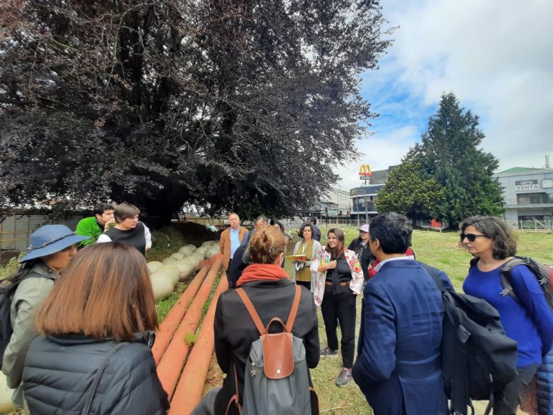 Imagen de Consejeros y equipo técnico del Consejo de Monumentos Nacionales visitaron Valdivia para constatar avances en obras relevantes para la ciudad