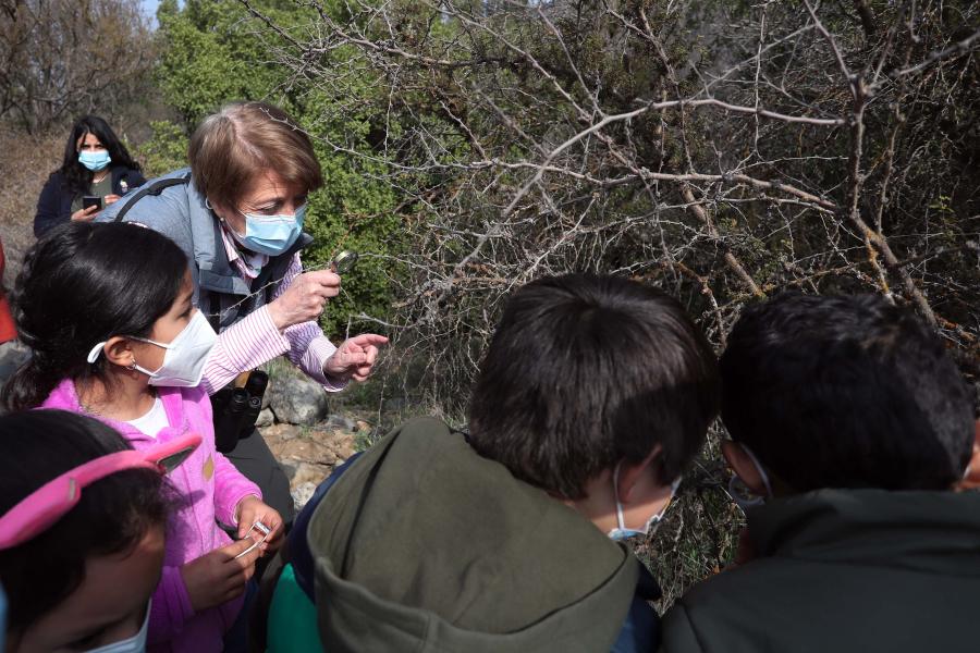 Imagen de Ministra de las Culturas visita uno de los cuatro Santuarios de la Naturaleza de la Región Metropolitana que abrirán gratuitamente para celebrar el Día de la Niñez
