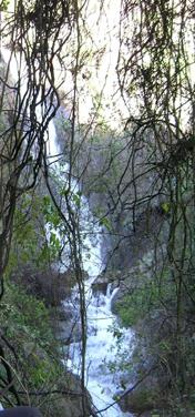 Imagen de Nuevo Santuario de la Naturaleza fortalece protección del pulmón verde de Santiago