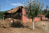 Imagen de Sellan convenio para establecer una norma para el adobe en construcciones patrimoniales