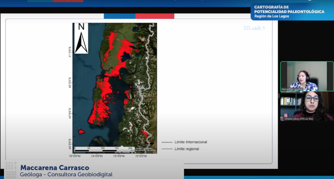 Imagen de Consejo de Monumentos Nacionales lanza herramienta digital que revela el potencial paleontológico de la Región de Los Lagos