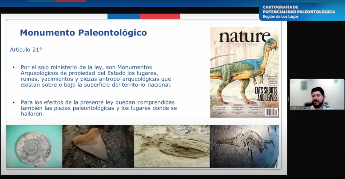 Imagen de Consejo de Monumentos Nacionales lanza herramienta digital que revela el potencial paleontológico de la Región de Los Lagos