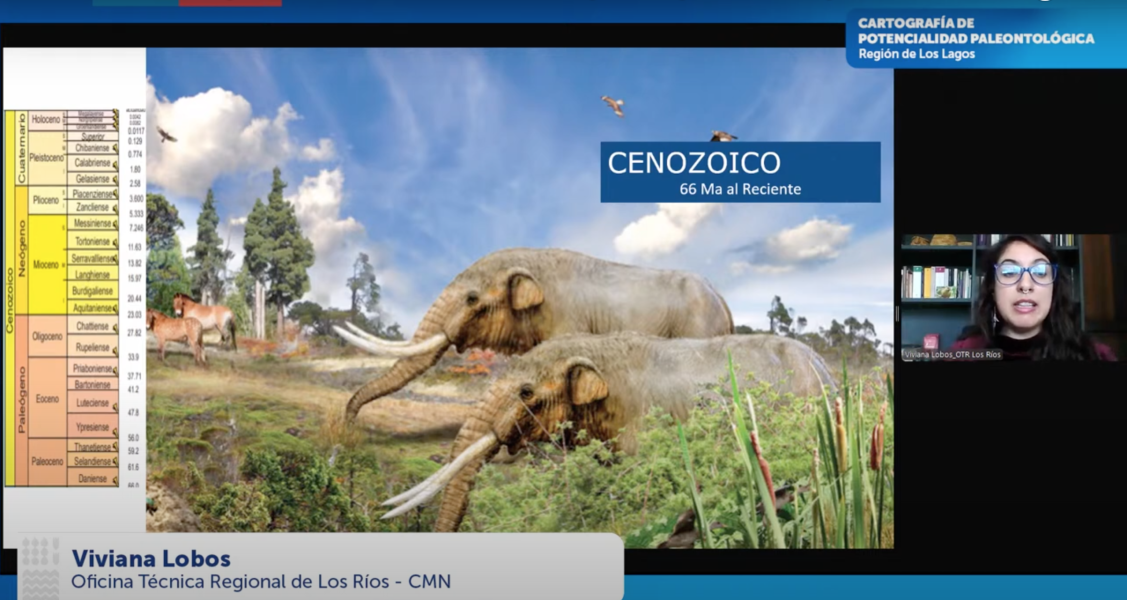 Imagen de Consejo de Monumentos Nacionales lanza herramienta digital que revela el potencial paleontológico de la Región de Los Lagos