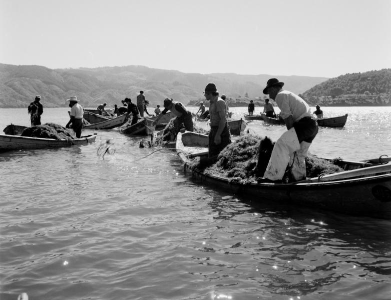 Imagen de Ministerio de las Culturas lanza publicación digital que reúne la mirada y el legado de Roberto Montandón