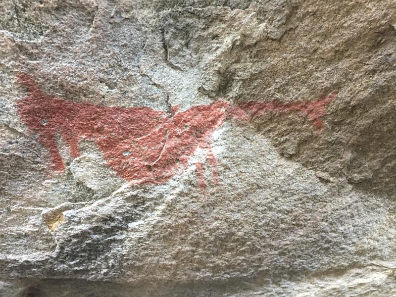 Imagen de “Conectemos con los monumentos” llega a Aysén: CMN y Universidad Austral abordarán el patrimonio milenario de la región