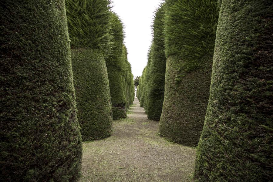 Imagen del monumento Cementerio Municipal de Punta Arenas Sara Braun