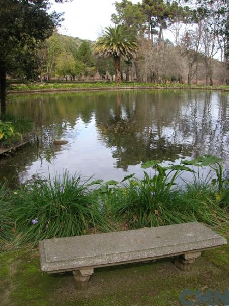 Imagen del monumento Parque de la Viña Santa Rita