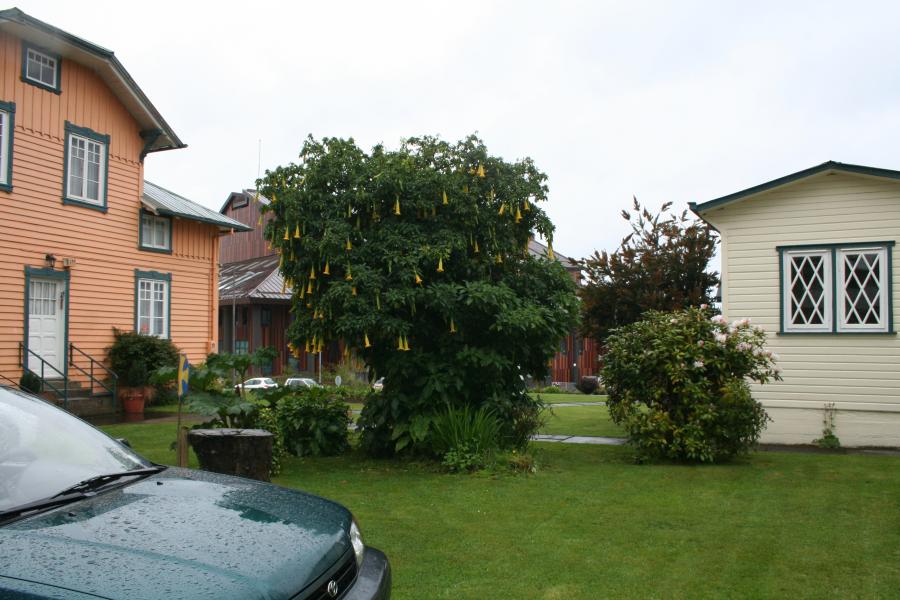 Imagen del monumento Frutillar Bajo