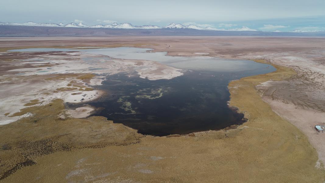 Imagen del monumento Laguna Tebenquiche