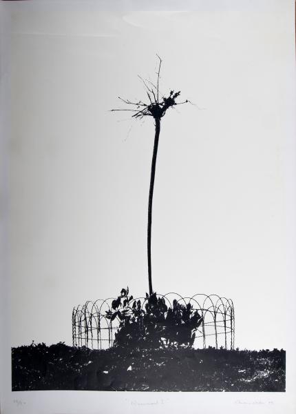 Imagen del monumento Fotografías del Museo de Bellas Artes