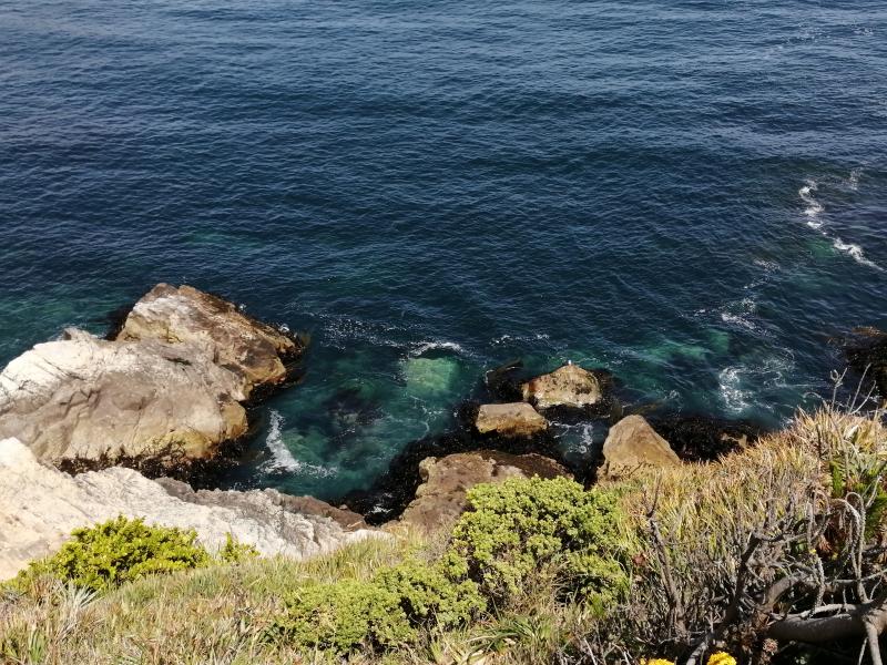 Imagen del monumento Península de Hualpén