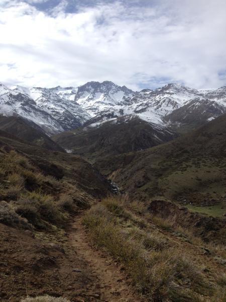Imagen del monumento Predios denominados San Francisco de Lagunillas y Quillayal