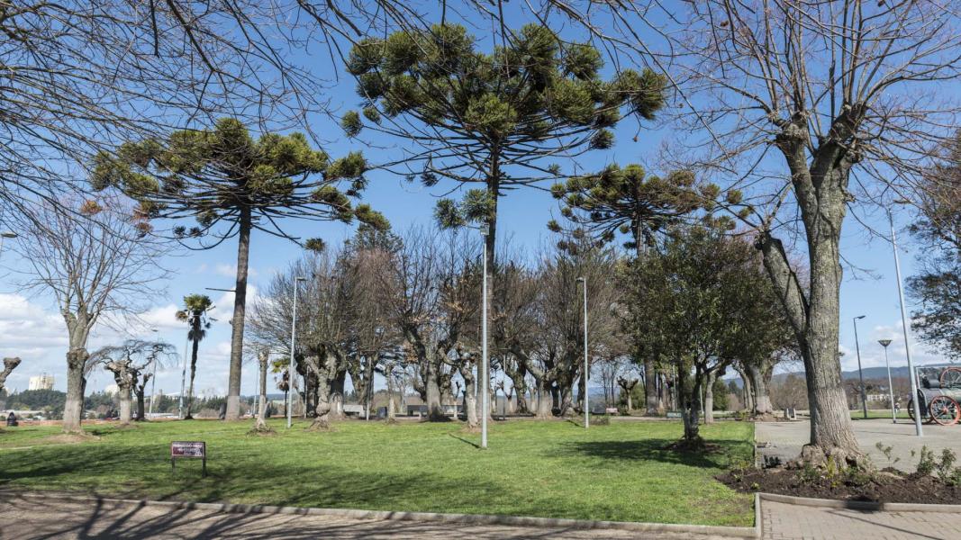 Imagen del monumento Fuerte de Nacimiento