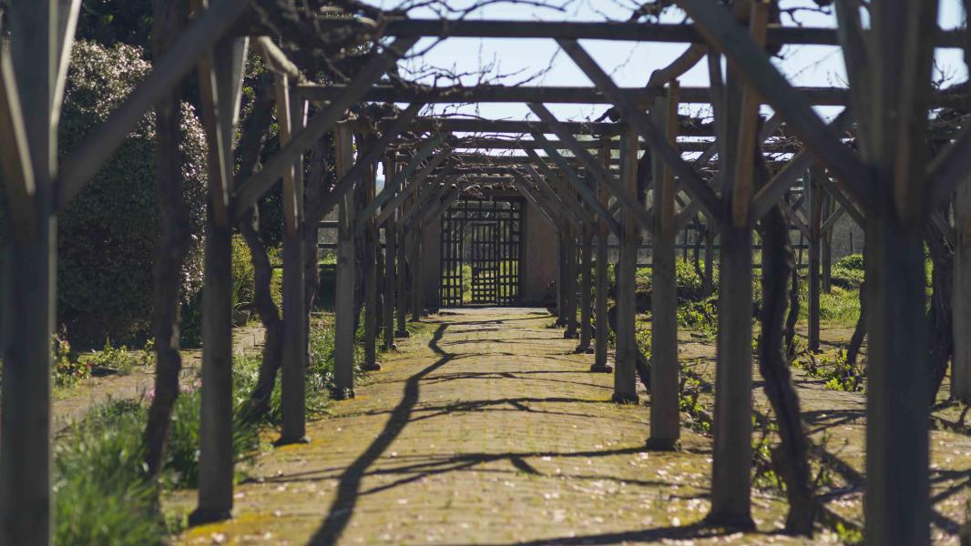 Imagen del monumento Casa Patronal, Capilla y dependencias contiguas de la Hacienda San José del Carmen El Huique
