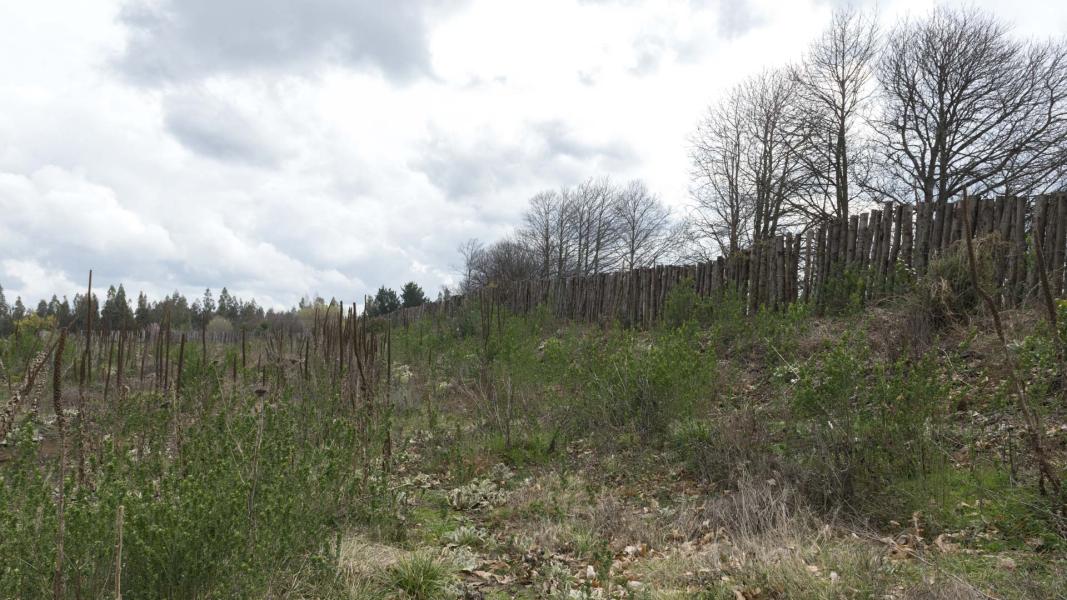 Imagen del monumento Fuerte San Diego de Tucapel