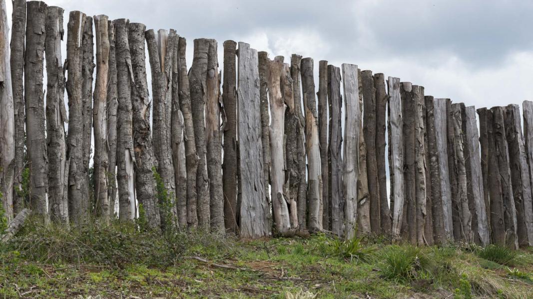Imagen del monumento Fuerte San Diego de Tucapel