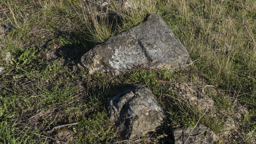 Imagen del monumento Fuerte San Carlos de Purén